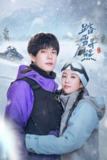 踏雪寻熊（2025）【4K.SDR】【杜比音效】【24集全】【剧情/喜剧/爱情】