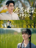 念念情深1980 (83集) 黄靖洲&杨帆 | 短剧
