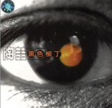 陶喆 - 2002年专辑 - 黑色柳丁 Flac