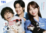 初恋DOGs (2025) 【01】【1080p】【日语中字】 【日剧】