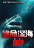 《堕入深渊》(2025)[1080P][中文字幕][动作/惊悚][斯图尔特·汤森德/丝柯·泰勒-考普顿/理查德·德莱福斯]