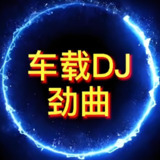 2025醒脑劲辣车载DJ热曲合集