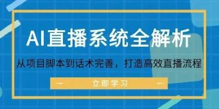 AI直播系统全解析：从项目脚本到话术完善