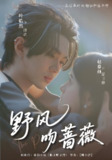 野风吻蔷薇 (78集) 叶皓然&赵慕颜 | 短剧