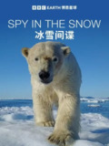 冰雪间谍 Spy in the Snow (2018)