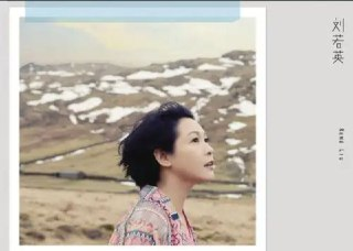 刘若英 - 2013年专辑 - 亲爱的路人 Flac