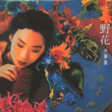林忆莲 - 1991年专辑 - 野花 K2HD wav