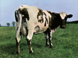 Pink Floyd - 1970年专辑 - Atom Heart Mother Flac