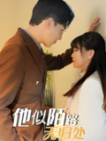 他似陌路无归处 (30集) 赵宏伟&胡雪艺 | 短剧