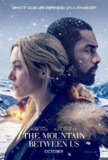 远山恋人 The Mountain Between Us (2017) 1080p 原盘Remux 中文字幕 【22.48GB】已刮削