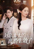 封总太太的离婚生效了 (82集) 崔秀子&李子锋 | 短剧