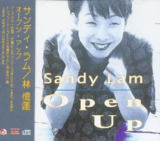 林忆莲 - 1995年专辑 - OPEN UP (日本版) wav
