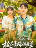 重活一世校花青梅做老婆 (80集) 应新新 | 短剧