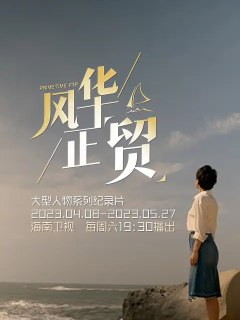 风华正贸 风华正“贸” (2023)