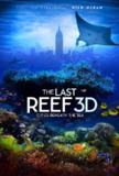 最后的珊瑚礁 The Last Reef: Cities Beneath the Sea (2012) 4K/2160p 原盘Remux 中文字幕 【18.63GB】已刮削