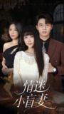 情迷小盲妻 (69集) 陈楚琦 | 短剧