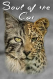 猫之魂 Soul of the Cat (2017)