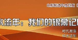 似水流年：我们的银幕记忆 (2008)
