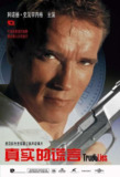 真实的谎言 True Lies (1994) 1080p 原盘Remux 中文字幕 【34.71GB】已刮削