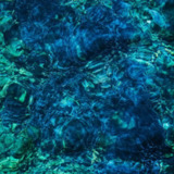 (日本) 青叶市子 (Ichiko Aoba) Luminescent FLAC Hi-Res