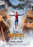 蜘蛛侠：英雄归来 Spider-Man: Homecoming (2017) 4K/2160p 原盘Remux 中文字幕 【57.36GB】已刮削
