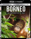 婆罗洲：亚洲的魅力 Borneo The Fascination of Asia (2017) 4K/2160p 原盘Remux 中文字幕 【34.03GB】已刮削