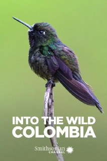 走进野外：哥伦比亚 Into the Wild Colombia (2018)
