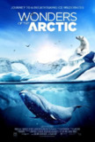 北极奇观 Wonders of the Arctic (2014) 4K/2160p 原盘Remux 中文字幕 【18.27GB】已刮削