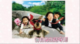 高护木的规矩 マルモのおきて (2011)