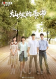 灿烂的季节 (2022)