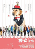 神犬小七 合集
