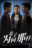 妻子为何那样 (60集) 杜星瑶&刘磊 | 短剧