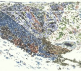 Tim Hecker - 2009年专辑 - An Imaginary Country Flac