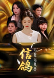 信鸽不渡无风带 (65集) 杨雨萌 | 短剧
