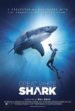大白鲨 Great White Shark (2013) 4K/2160p 原盘Remux 中文字幕 【19.33GB】已刮削