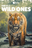 野性生灵 The Wild Ones (2025) 4K高码.内封简繁英（全 6 集）