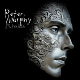 Peter Murphy-Silver Shade 2025 FLAC 窦唯 的偶像 模仿对象