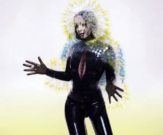 Björk - 2015年专辑 - Vulnicura Flac