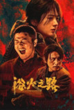 浴火之路（2025）4K HQ DV 杜比全景声 DTS音效
