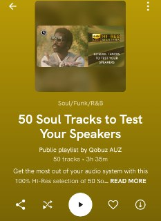 Various Artists - Hi-Res Masters 50 Soul Tracks to Test your Speakers FLAC 24bit