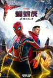 蜘蛛侠：英雄无归 Spider-Man: No Way Home (2021) 4K/2160p 原盘Remux 中文字幕 【71.10GB】已刮削