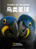 鸟类星球 Planet of The Birds (2018)