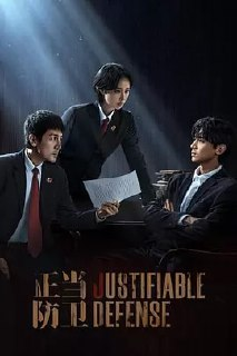 正当防卫[2025]（15集全）[剧情 悬疑]