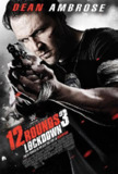 12回合3：致命禁闭 12 Rounds 3: Lockdown (2015) 1080p 原盘Remux 中文字幕 【18.71GB】已刮削