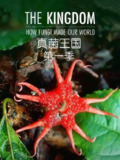 真菌王国 The Kingdom How Fungi Made Our World (2018)