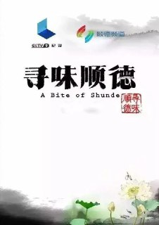 寻味顺德 (2016)