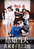 结婚当天我被妻子告上法庭 (30集) 王惠子&张玉忱 | 短剧