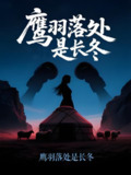 鹰羽落处是长冬 (61集) 海心如&林冠呈 | 短剧