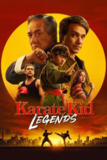 功夫梦：融合之道 Karate Kid: Legends (2025) [WEB-4K] [内封多国字幕]