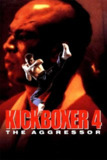 搏击之王4：入侵者 Kickboxer 4: The Aggressor (1994) 1080p 原盘Remux 中文字幕 【17.31GB】已刮削